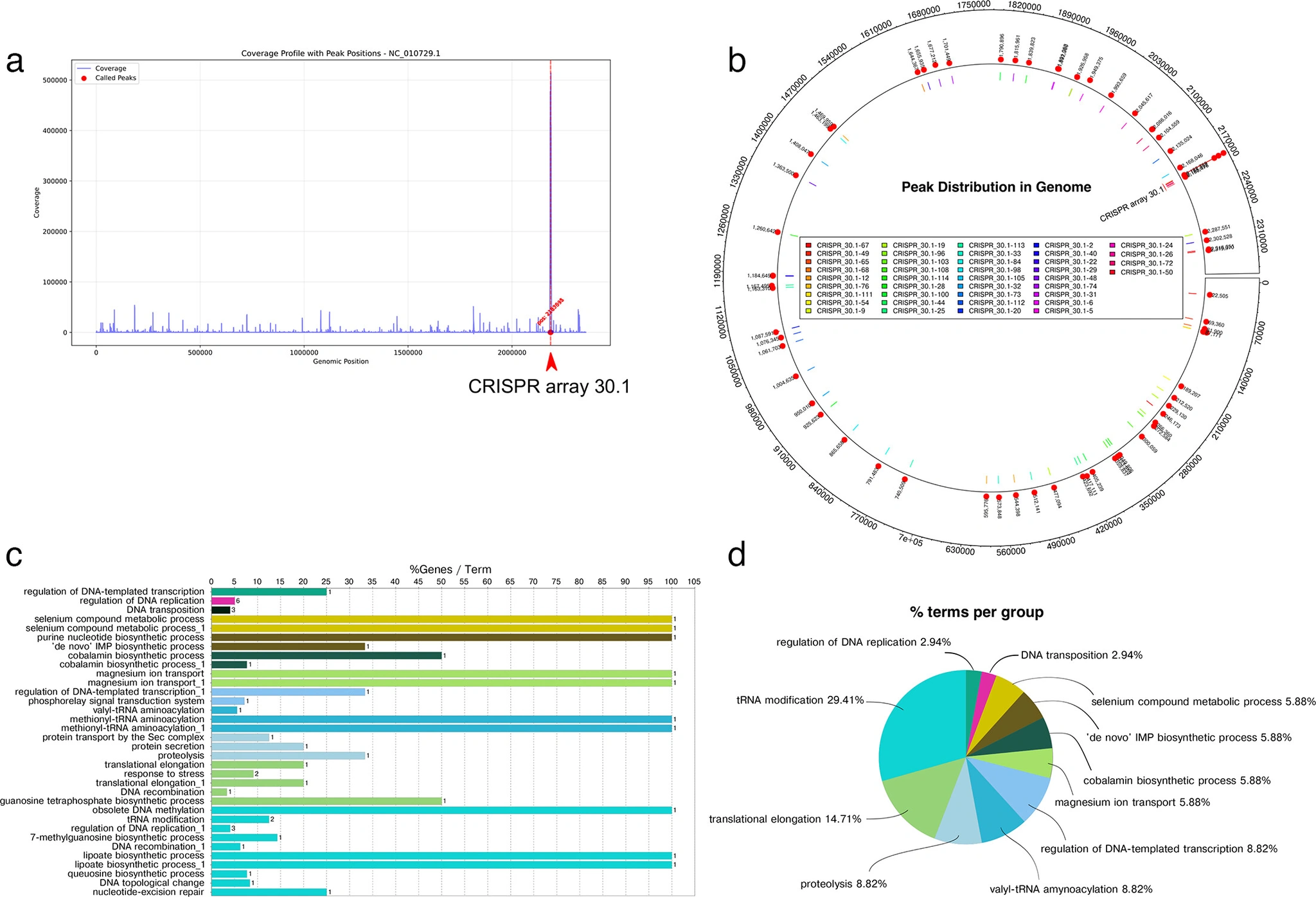 图源：A CRISPR array orchestrates virulence and host response in Porphyromonas gingivalis