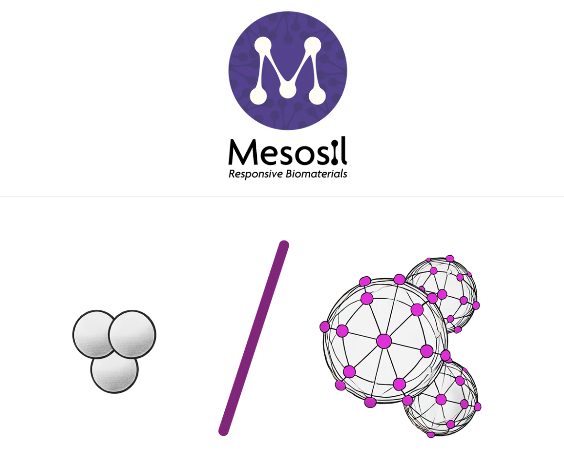 图源：Mesosil 官网