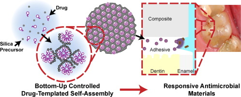 图源：Responsive antimicrobial dental adhesive based on drug-silica co-assembled particles