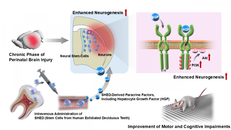 图源：名古屋大学官网