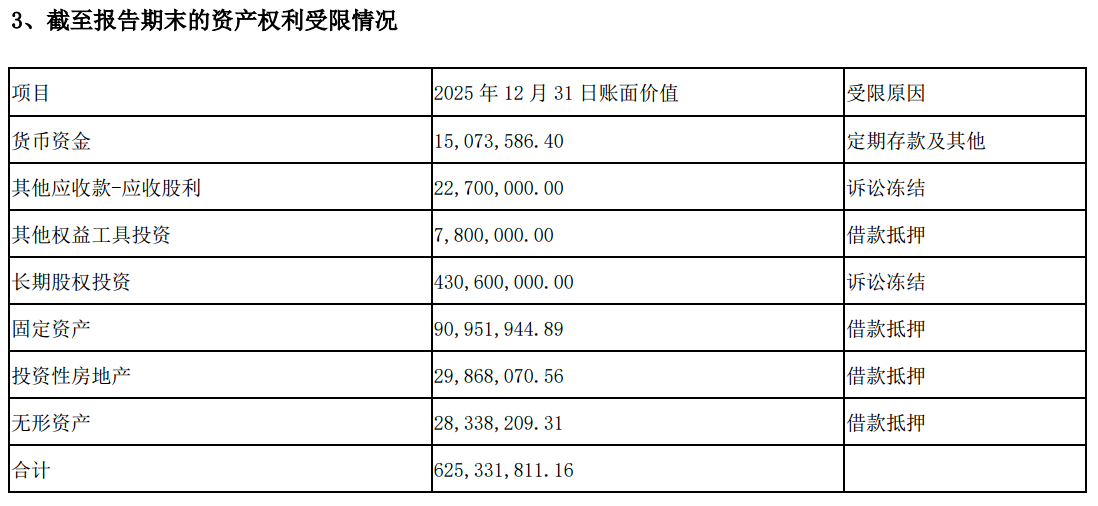 图源：皓宸医疗2025年年度报告