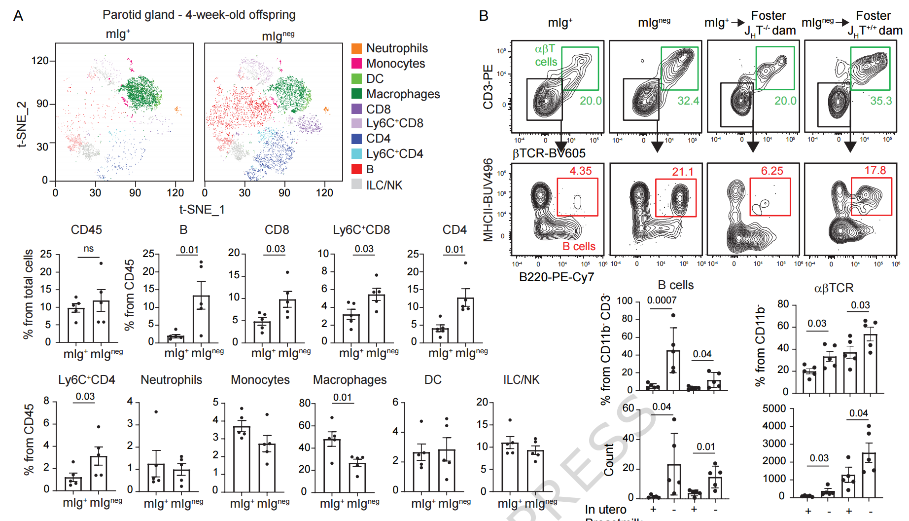 图源：《Maternal antibodies regulate the establishment of murine oral and salivary mucosal immunity》