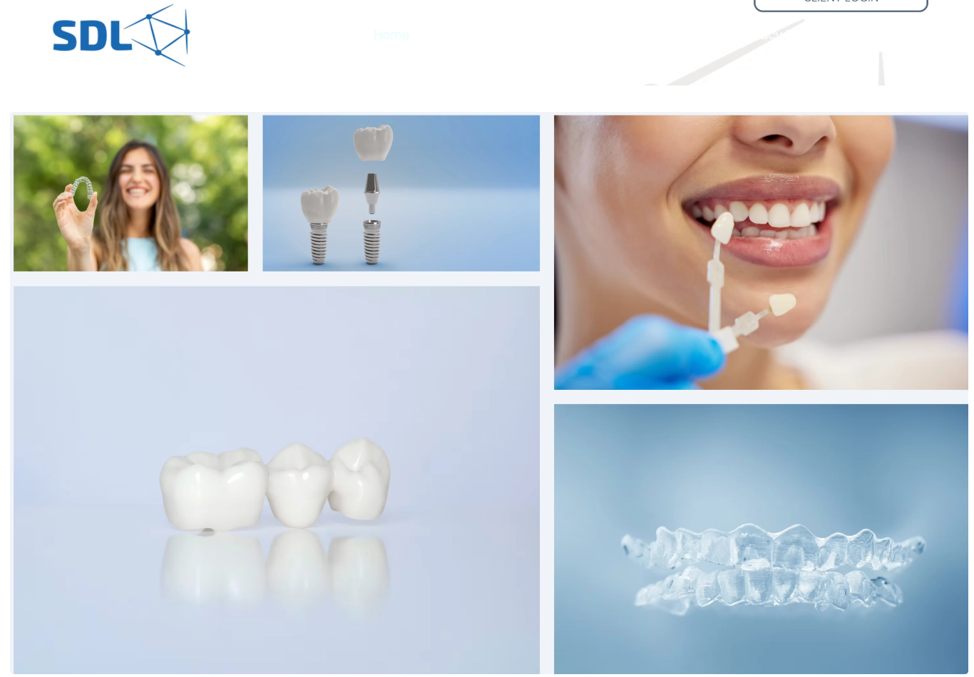 图源：Standard Dental Labs Inc.官网