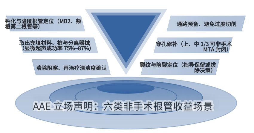 图源：《民营口腔显微技术应用白皮书（2026）》