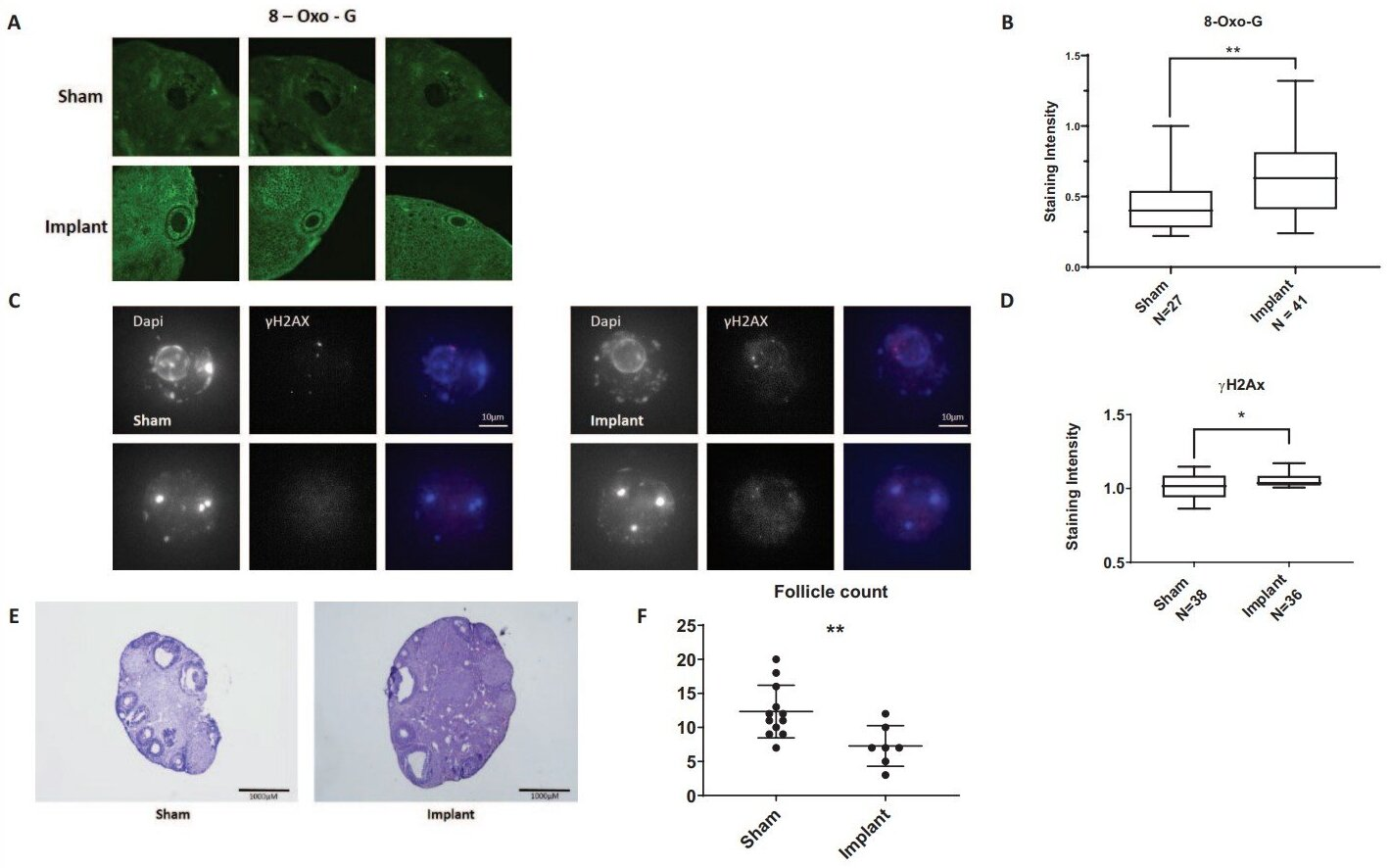 图源：《Chronic Oral Inflammation Impairs Female Reproduction in a Murine Model》