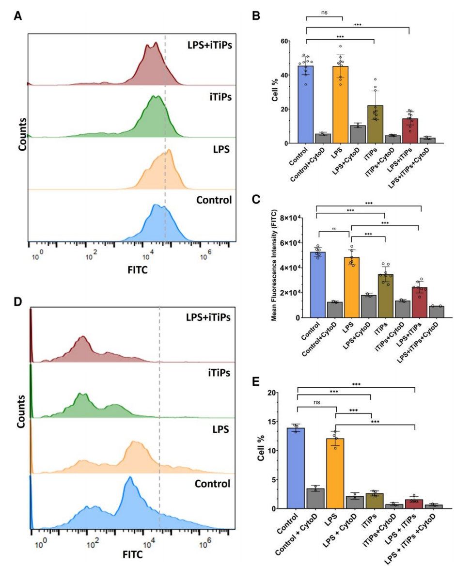 图源：《Implant-derived titanium particles impair macrophage bacterial clearance via TRPC1 and lysosomal dysfunction》