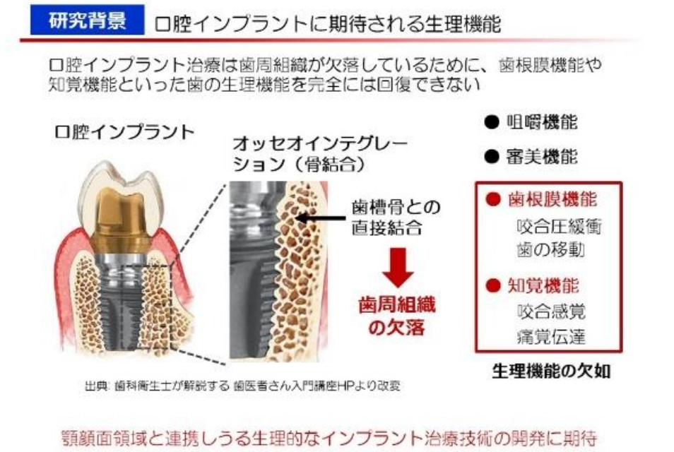 图源：日本南东北综合医院特定临床研究报告