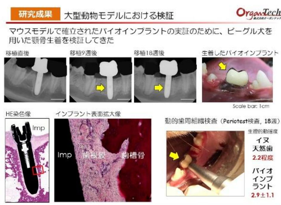 图源：日本南东北综合医院特定临床研究报告
