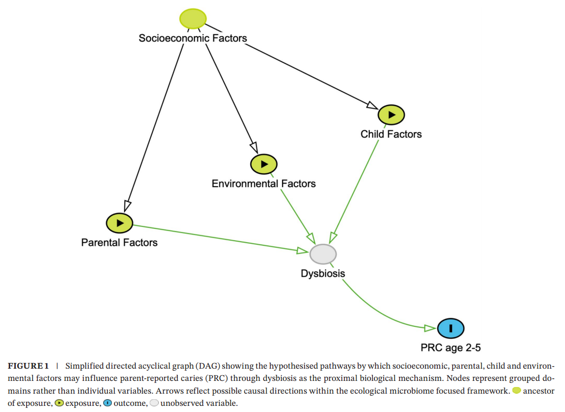 图源：Factors Associated With Parent-Reported Caries inPreschool Children From the KUNO-Kids HealthStudy-Repeated Cross-Sectional Analysis