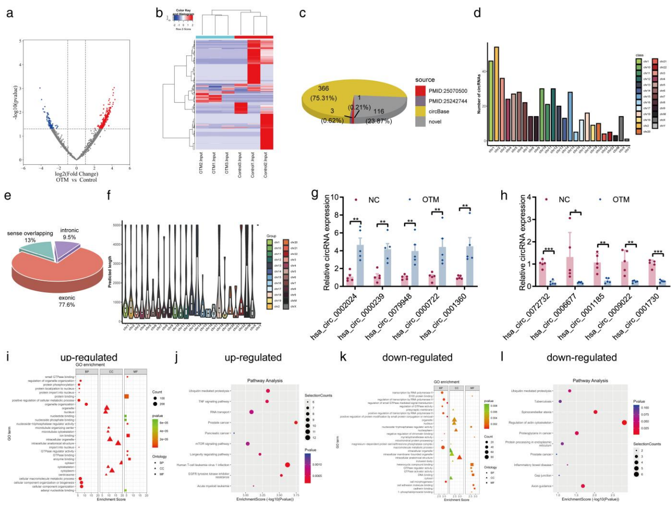图源：Biological significance and regulatory networks of mRNAs, lncRNAs, and circRNAs in human periodontal ligament tissues induced by orthodontic tooth movement