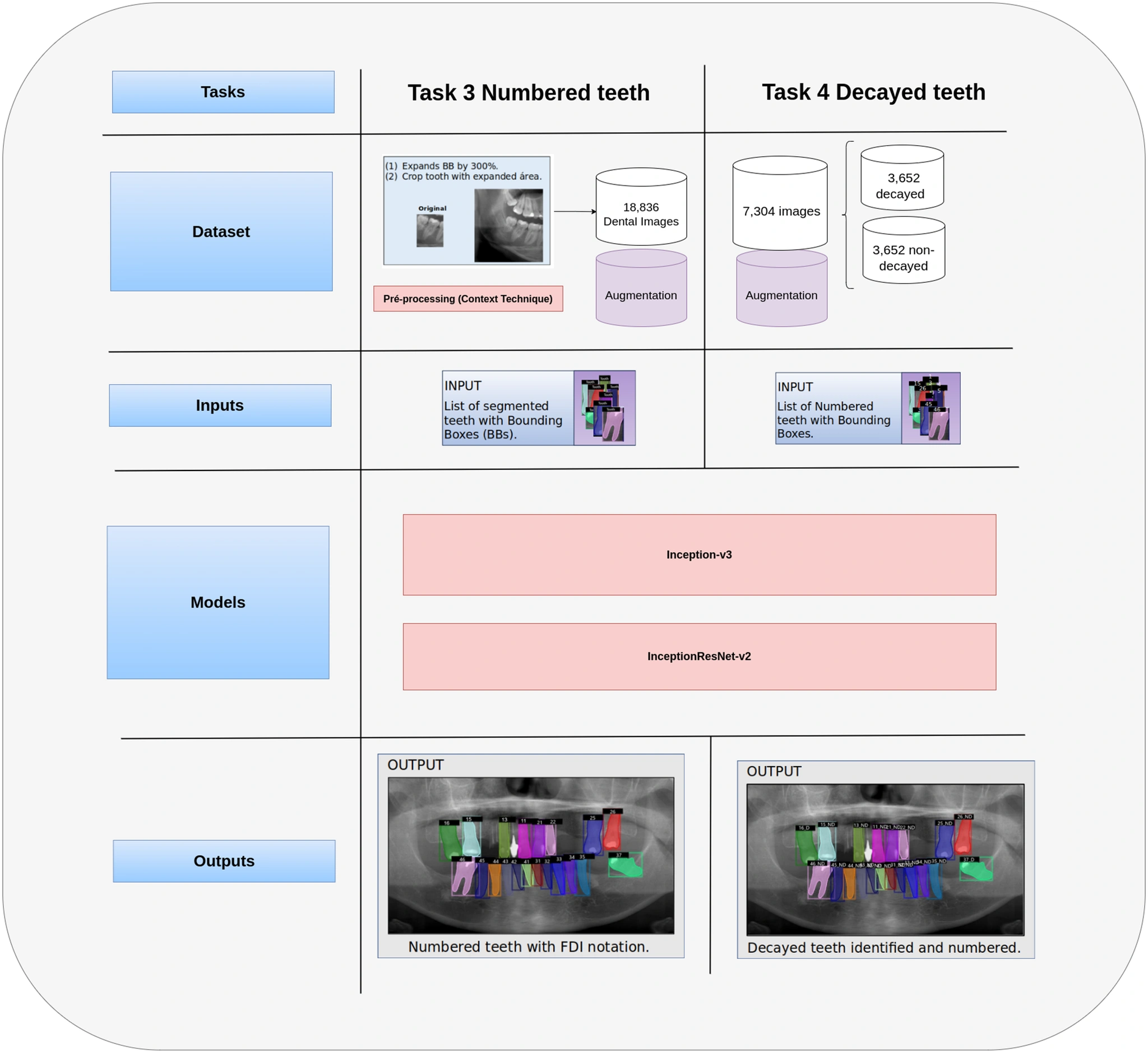 图源：AI-powered precision in dental radiographic analysis using tailored CNNs for tooth numbering and cavity detection