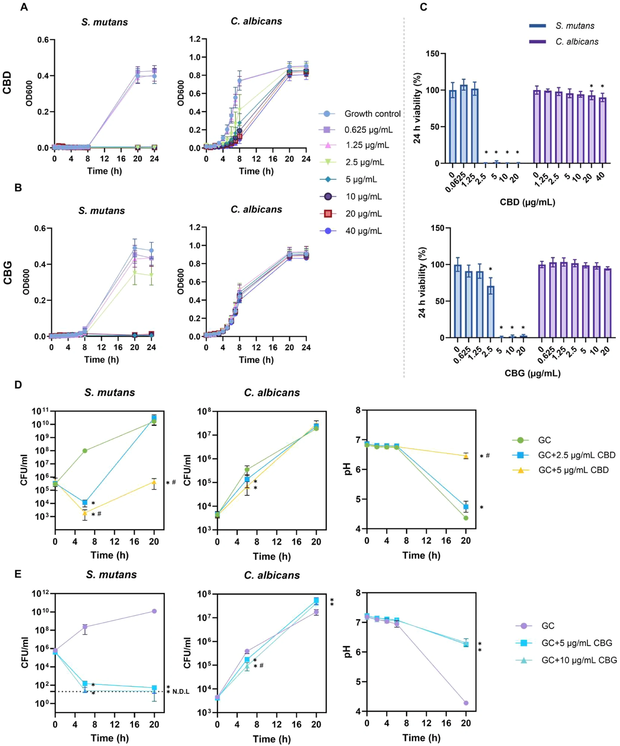 图源：Cannabidiol and Cannabigerol Modulate Cariogenic Virulence in Cross-Kingdom Biofilms In Vitro