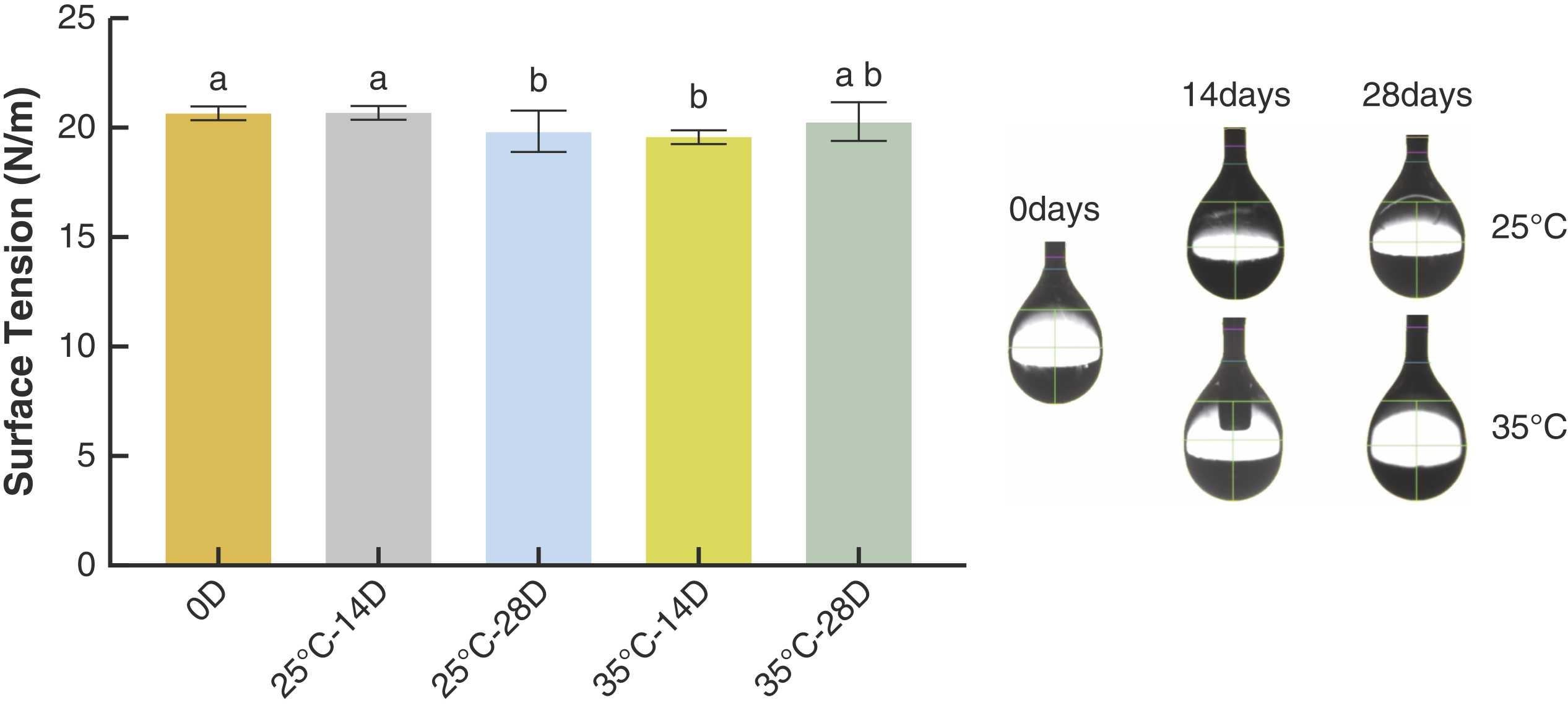 图源：Post-opening storage temperature and its impact on zirconia bonding performance of a universal adhesive system