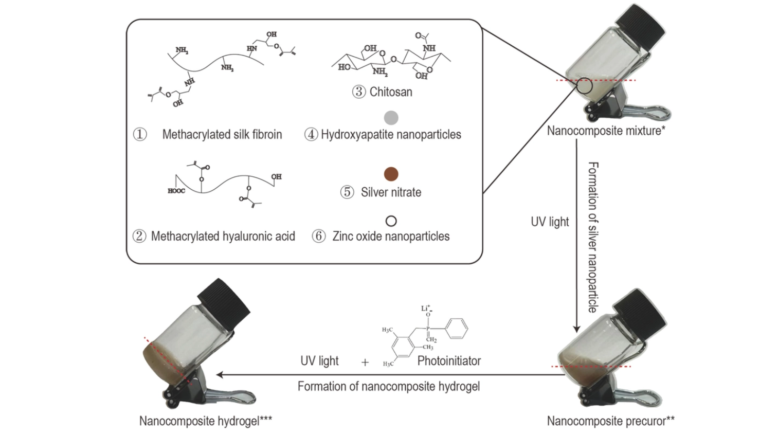 Source: Development of a novel pH-responsive anti-caries nanocomposite hydrogel