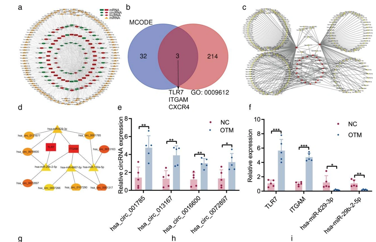 Source: Biological significance and regulatory networks of mRNAs, lncRNAs, and circRNAs in human periodontal ligament tissues induced by orthodontic tooth movement