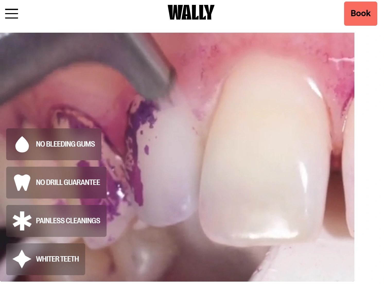 Image source: Wally Health official website